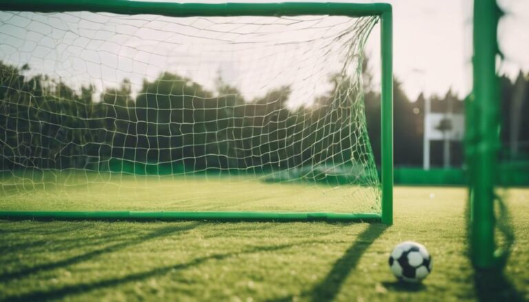 6 Best Full Size Soccer Goals That Are Affordable and High-Quality